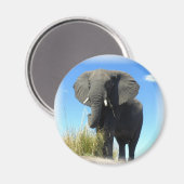 African Elephant Round Magnet (Vorderseite/Rückseite)