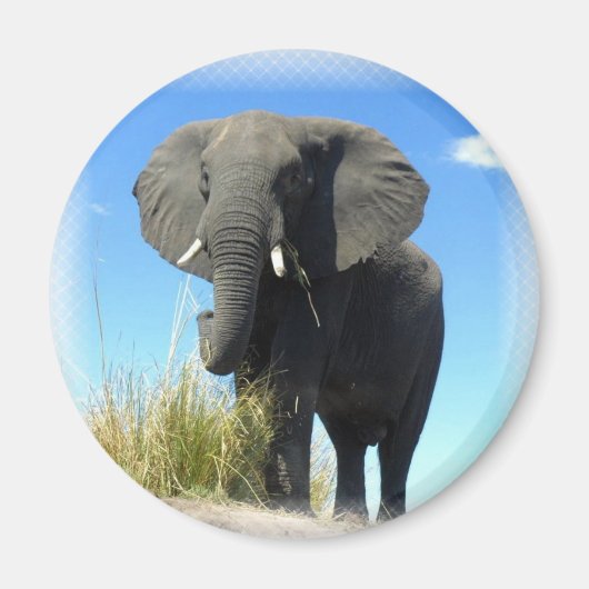 African Elephant Round Magnet (Vorne)