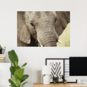 African elephant wildlife posters, images, prints poster (Heimbüro)