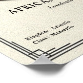 African Elephant Zoology Series Poster (Ecke)