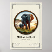 African Elephant Zoology Series Poster (Vorne)