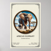 African Elephant Zoology Series Poster (Vorne)