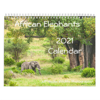 African Elephants 2021 Wall Calendar Kalender
