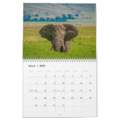 African Elephants 2021 Wall Calendar Kalender (Mär 2027)