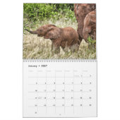 African Elephants 2021 Wall Calendar Kalender (Jan 2027)