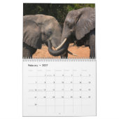 African Elephants 2021 Wall Calendar Kalender (Feb 2027)