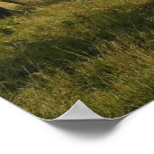 African Elephants grazing, Loxodonta africana, Poster (Ecke)