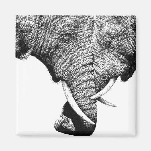 African Elephants Magnet (Vorne)