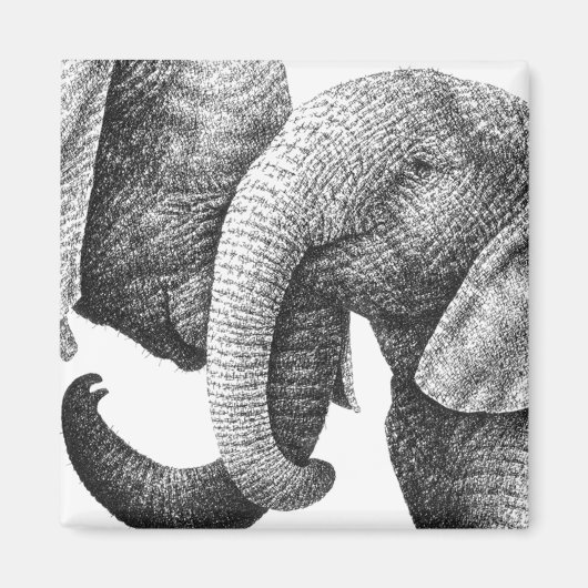 African Elephants Magnet (Vorne)