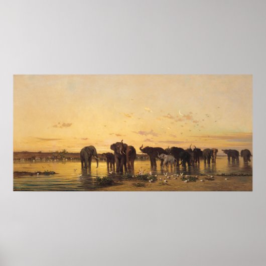 African Elephants Poster (Vorne)