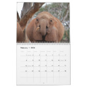 African Elephants Wall Calendar Kalender (Feb 2026)