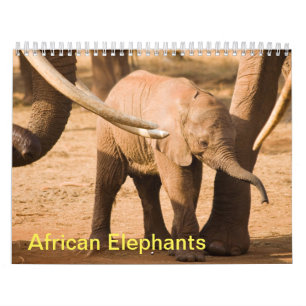 African Elephants Wall Calendar Kalender