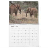 African Elephants Wall Calendar Kalender (Mär 2027)