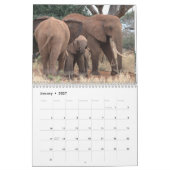 African Elephants Wall Calendar Kalender (Jan 2027)