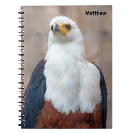African Fish Eagle Spiral Notebook Notizblock (Vorderseite)