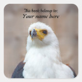 African Fish Eagle Sticker (Vorderseite)