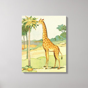 African Giraffe Eating Acacia Blätter Leinwanddruck