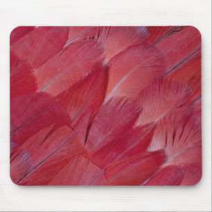 African-Graupapageienfeder-Design Mousepad