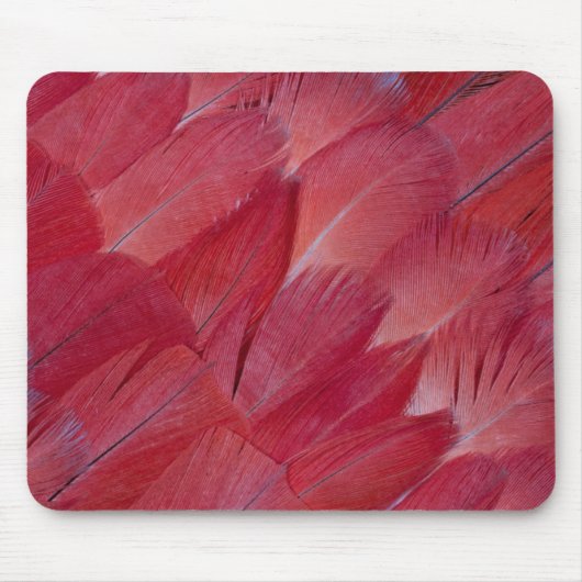 African-Graupapageienfeder-Design Mousepad (Vorne)