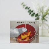 African Gray Cooking Kitchen Helper Postcard Postkarte (Stehend Vorderseite)