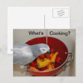 African Gray Cooking Kitchen Helper Postcard Postkarte (Vorne/Hinten)