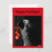 African Gray Happy Holidays Weihnachten Postcard (Vorne/Hinten)
