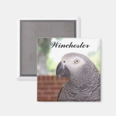 AFRICAN GRAY-MAGNET Winchester Magnet (Vorderseite/Rückseite)
