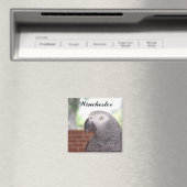 AFRICAN GRAY-MAGNET Winchester Magnet (In Situ (Geschirrspüler))