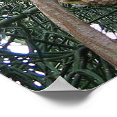 African Gray Paprot Print Poster (Ecke)