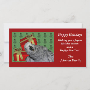 African Gray Parrot Animal Weihnachtskarte Feiertagskarte