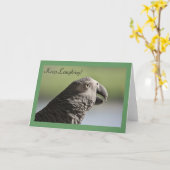 African Gray Parrot "Behalt Laghing" Grußkarte Karte (Gelbe Blume)