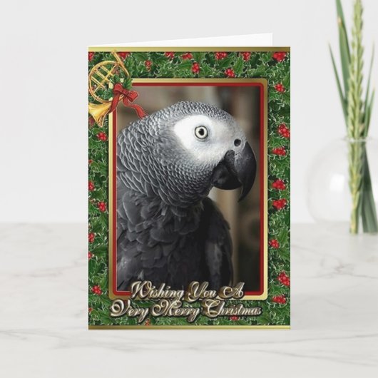 African Gray Parrot Christmas Card Feiertagskarte (Vorderseite)