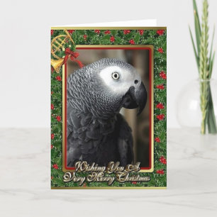 African Gray Parrot Christmas Card Feiertagskarte