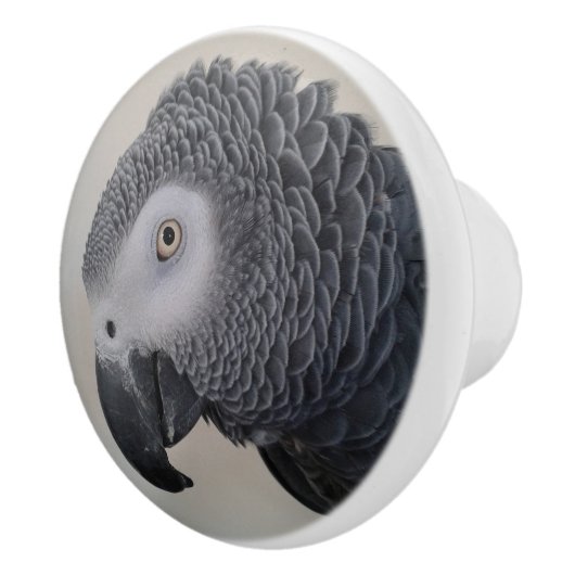 African Gray Parrot Dresser Knobs Keramikknauf (Rechts)