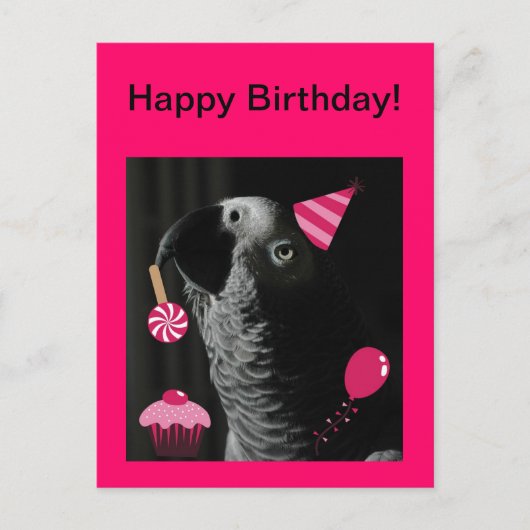 African Gray Parrot Happy Birthday Postcard Postkarte (Vorderseite)