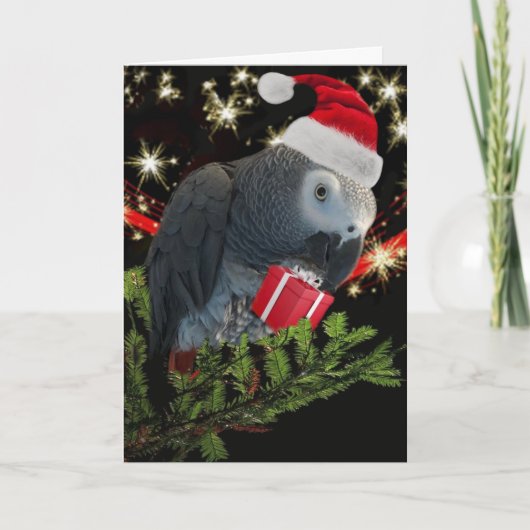 African Gray Parrot Holiday Card Karte (Vorderseite)