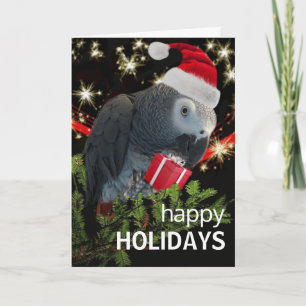 African Gray Parrot Holiday Season Card Karte