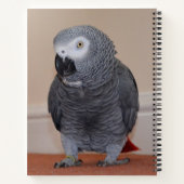 African Gray Parrot Journal Notizblock (Rückseite)