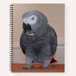 African Gray Parrot Journal Notizblock