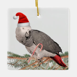 African Gray Parrot Keramik Weihnachtsschmuck