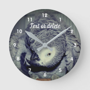 African Gray Parrot Niedlich Bird 2 Personalisiert Runde Wanduhr