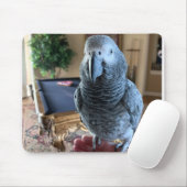African Gray Parrot Pool Table Mousepad (Mit Mouse)