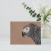 African Gray Parrot Postcard Postkarte (Stehend Vorderseite)