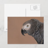African Gray Parrot Postcard Postkarte (Vorne/Hinten)