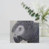 African Gray Parrot Postcard Postkarte (Stehend Vorderseite)