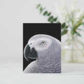 African Gray Parrot Postcard Postkarte (Stehend Vorderseite)