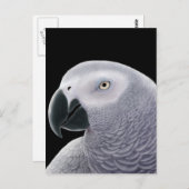 African Gray Parrot Postcard Postkarte (Vorne/Hinten)