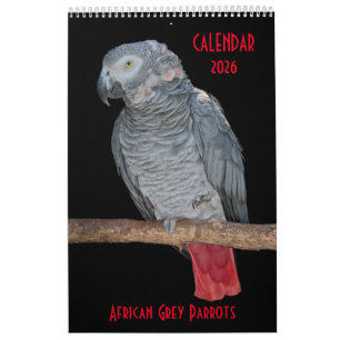 African Gray Parrots Calendar 2025 Kalender