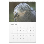 African Gray Parrots Calendar Kalender (Mär 2027)