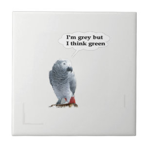 African Gray Thinks Green Fliese